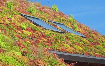 Love Green living roof systems
