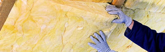 quotes for Love Green roof insulation